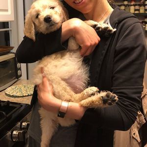 Meet your Posher, Sara